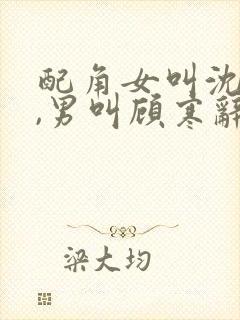 配角女叫沈若微,男叫顾寒辞的小说