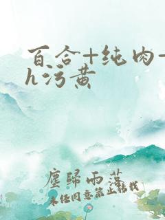 百合+纯肉+超h污黄