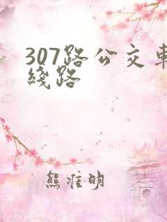 307路公交车线路