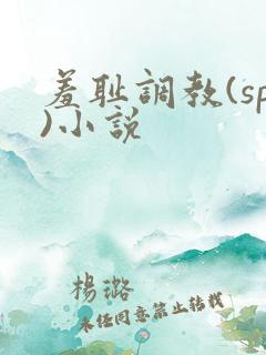 羞耻调教(sp)小说