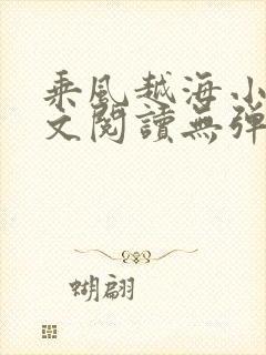 乘风越海小说全文阅读无弹窗