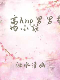 高hnp男男带肉小说