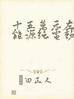 十五万元左右新能源纯电动汽车