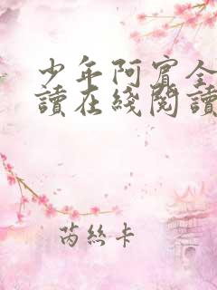 少年阿宾全文阅读在线阅读全文第一季