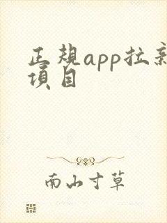 正规app拉新项目
