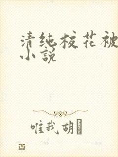 清纯校花被破处小说