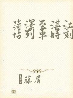 菏泽至湛江火车站列车时刻表
