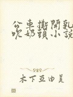 公车撕开乳罩揉吮奶头小说
