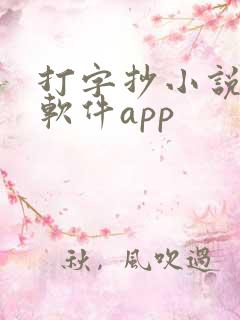 打字抄小说赚钱软件app