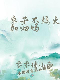 车子不熄火可以加油吗
