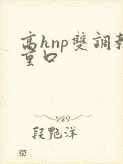 高hnp双调教重口