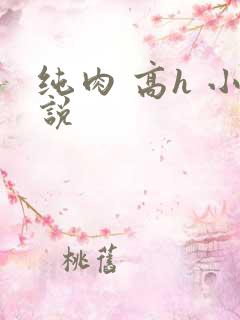 纯肉 高h 小说