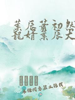 叶辰萧初然上门龙婿叶辰大结局
