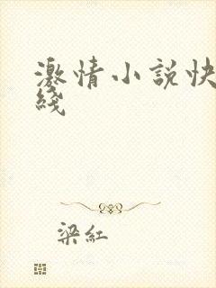 激情小说快播在线
