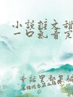 小说推文甜宠文一口气看完