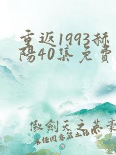 重返1993赫阳40集免费观看
