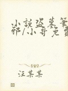 小说盗墓笔记吴邪/小哥免费全文阅读