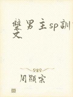 双男主sp训诫文