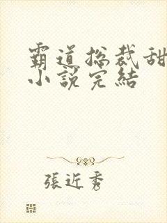 霸道总裁甜宠妻小说完结