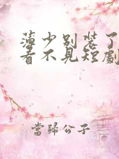 薄少别装了夫人看不见短剧