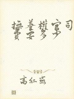 抚养权官司律师费要多少