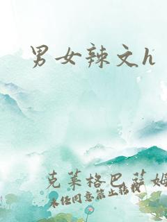 男女辣文h