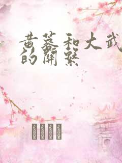 黄蓉和大武小武的关系