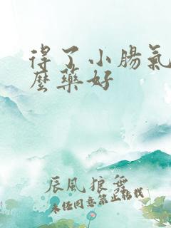 得了小肠气吃什么药好