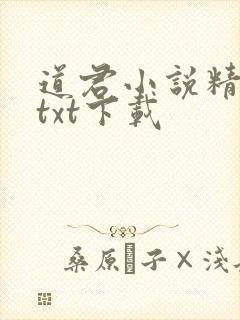 道君小说精校版txt下载