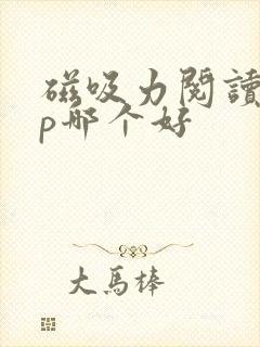 磁吸力阅读app哪个好