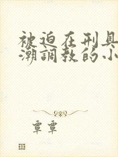 被迫在刑具上高潮调教的小说