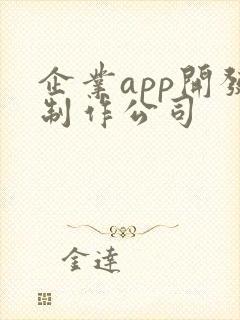 企业app开发制作公司
