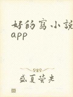 好的写小说软件app