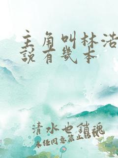 主角叫林浩的小说有几本
