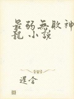 最弱无败神装机龙 小说