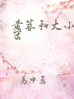 黄蓉和大小武秘密