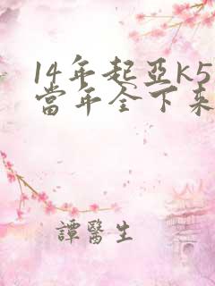 14年起亚k5当年全下来多少钱