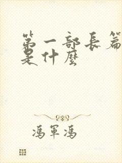 第一部长篇小说是什么