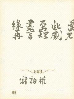 缘尽至此 爱不再言短剧免费观看70