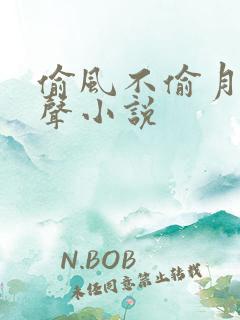 偷风不偷月 有声小说