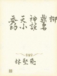 吞天神鼎柳无邪的小说名