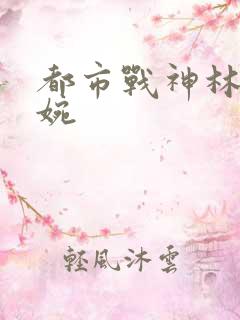 都市战神林北苏婉
