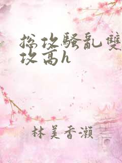 总攻骚乱双性互攻高h