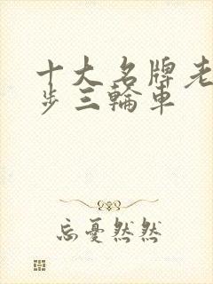 十大名牌老年代步三轮车