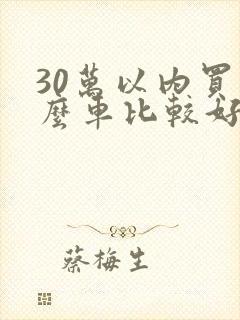 30万以内买什么车比较好 30万以内买什么车比较好