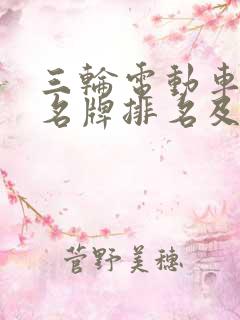 三轮电动车十大名牌排名及价格图片