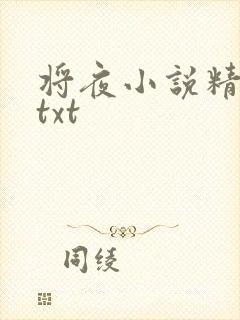 将夜小说精校版txt