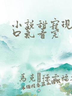小说甜宠现代一口气看完 小说甜宠现代一口气看完