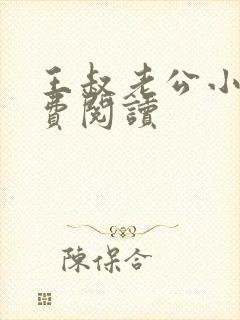 王叔老公小说免费阅读