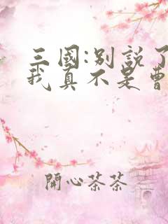 三国:别说了,我真不是曹贼